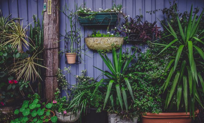 4 tips voor een duurzamere tuin